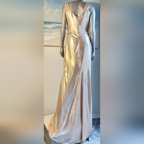 $2,000 RENE RUIZ BLUSH GOLDEN SHINY RUNWAY DRESS GOWN US 6 - Picture 4 of 9